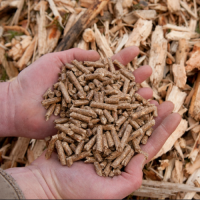 Cheap Price Wood Pellets / Europe Wood Pellets Eco-Friendly / Wood Pellets for Italy Free and Fast Shipping
