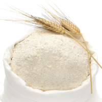 Quality Whole Wheat Flour for Export Wheat Flour 50kg/ Organic Strong Bulk White Wheat Flour Price Ton