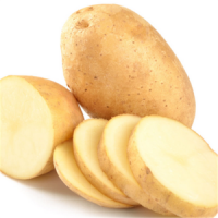 High Quality Fresh Potato New Crop Potato Fresh Vegetables Available at Wholesale Price