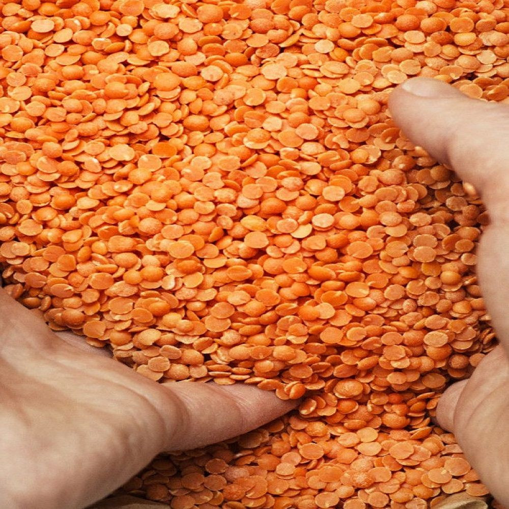 Factory Sale Hot Seller Red Split Lentils No Impurities Red Lentils Split Red Lentils