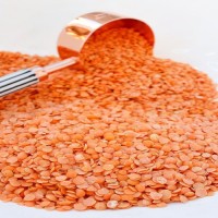Factory Sale Hot Seller Red Split Lentils No Impurities Red Lentils Split Red Lentils