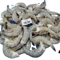 Frozen White Shrimp Delicious and Healthy Fresh Seafood Natural Vannamei Shrimp Small Shrimp