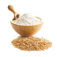 Quality Whole Wheat Flour for Export Wheat Flour 50kg/ Organic Strong Bulk White Wheat Flour Price Ton