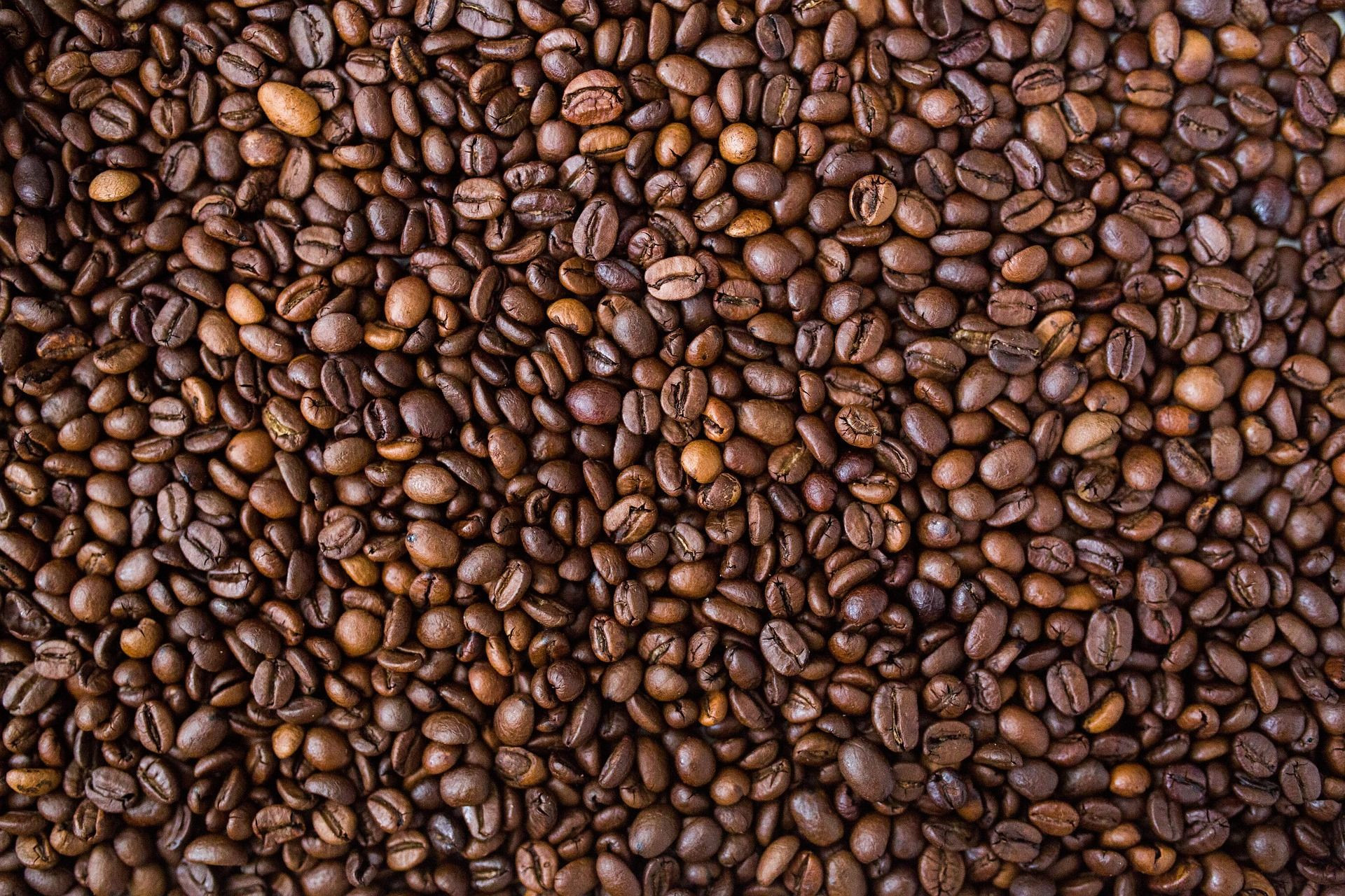 High Quality Premium Robusta Arabica Whole Roasted Ground Coffee Beans Available