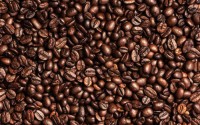 High Quality Premium Robusta Arabica Whole Roasted Ground Coffee Beans Available