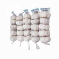 Hot Sale Price Fresh Organic Natural Garlic / New Crop Fresh Garlic bulk Supplier