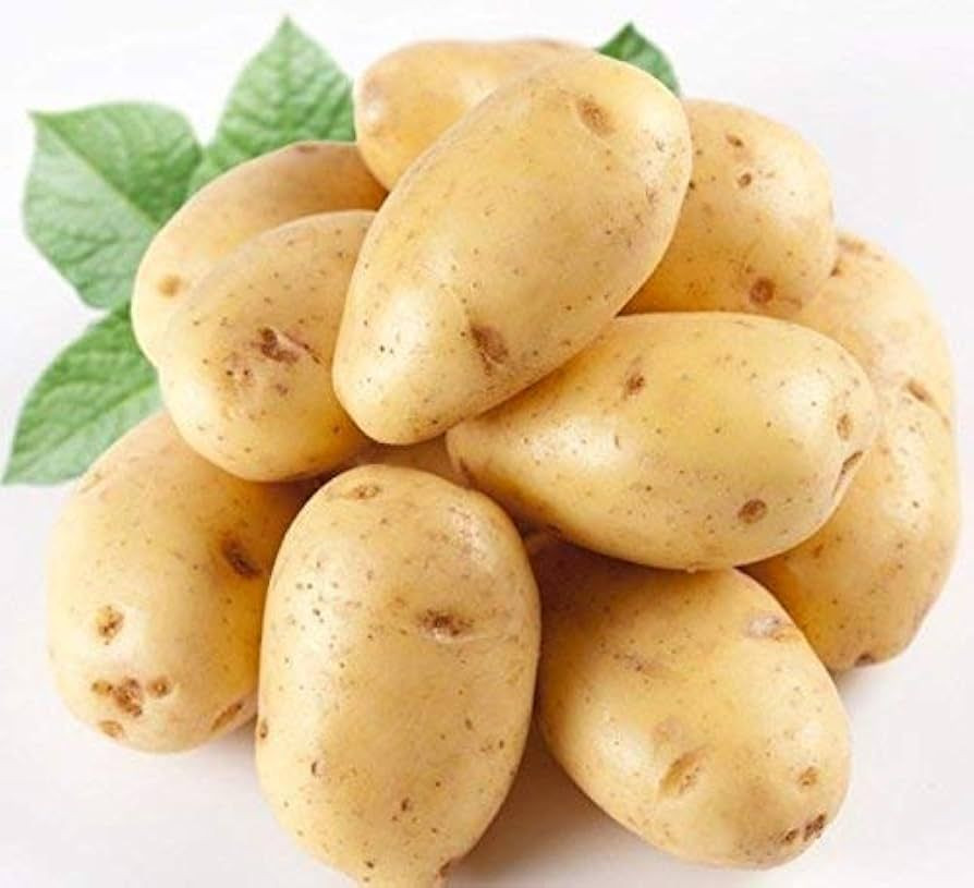 High Quality Fresh Potato New Crop Potato Fresh Vegetables Available at Wholesale Price