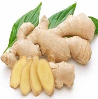 Hot Selling Fresh Ginger and Garlic Wholesale Ginger Fresh Bulk Fresh Ginger