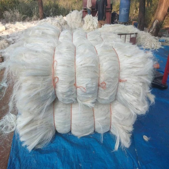 Sisal Fiber UG Grade Agave Fiber for Gypsum Cream White 100kgs/bale