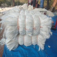 Sisal Fiber UG Grade Agave Fiber for Gypsum Cream White 100kgs/bale