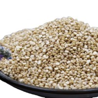 Wholesale Price Supplier of Organic Seeds White Quinoa Grains Health care Grains Bulk Stock With Fast Shipping