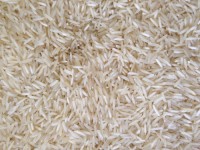 Jasmine Rice Wholesale Basmati Rice Long Grain Basmati Rice