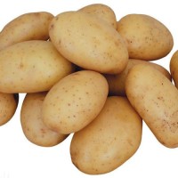 High Quality Fresh Potato New Crop Potato Fresh Vegetables Available at Wholesale Price