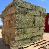 Alfafa Hay Animal Feeding Stuff Alfalfa, Hay/alfalfa hay Pellets Timothy Hay/ Alfafa in Bales Best Super Top Quality
