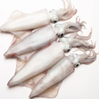 Wholesale Sell Bulk Fresh Frozen Dried Squid Frozen Dried Calamari Squid