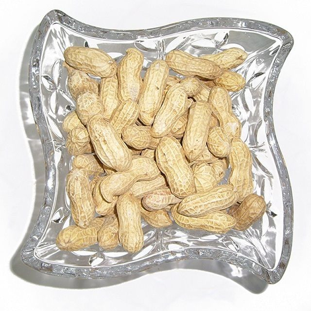 Wholesale 100% Natural Raw Peanuts High Quality Dried Nuts without Shell Ad Drying Process