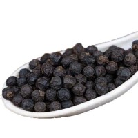 Best Quality Organic Whole Black Pepper Single Herbs & Spices From Vietnam Factory at Low Wholesale Price