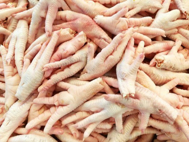 Wholesale Halal Chicken Feet / Frozen Chicken Paws Brazil / Fresh Chicken Wings and Feet and Paws