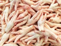 Wholesale Halal Chicken Feet / Frozen Chicken Paws Brazil / Fresh Chicken Wings and Feet and Paws