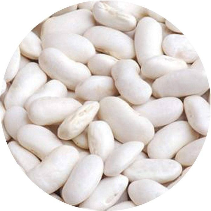 Hot Selling Good Quality Healthy Long White Sugar Bean Dry White Kidney Beans Natural