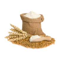 Quality Whole Wheat Flour for Export Wheat Flour 50kg/ Organic Strong Bulk White Wheat Flour Price Ton