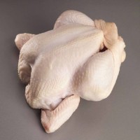 High Quality Healthy and Natural Whole Chicken Halal Frozen Whole Chicken Available for Sale at Low Price