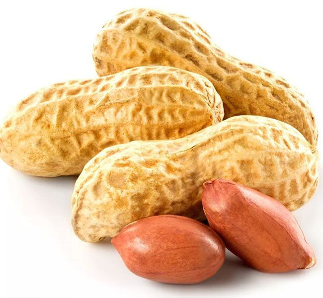 Wholesale 100% Natural Raw Peanuts High Quality Dried Nuts without Shell Ad Drying Process