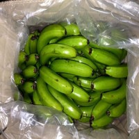 Natural High Quality Green Yellow Cavendish Banana Wholesale Top Grade Bananas Best Price Fresh Bananas
