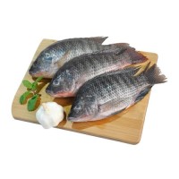 Frozen Fish Tilapia Custom Packing 10kg 10lbs Per Carton Iwp Ivp Iqf Frozen Tilapia Fish Frozen Black Tilapia Fish