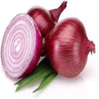 Best Quality Fresh Onion Price Ton on Fresh Red Onions for Sale by Onion Suppliers