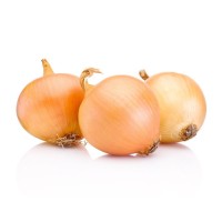 Lowest Price Fresh Red Onion/yellow Onion/white Onion for Sale