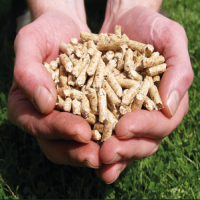 Cheap Price Wood Pellets / Europe Wood Pellets Eco-Friendly / Wood Pellets for Italy Free and Fast Shipping