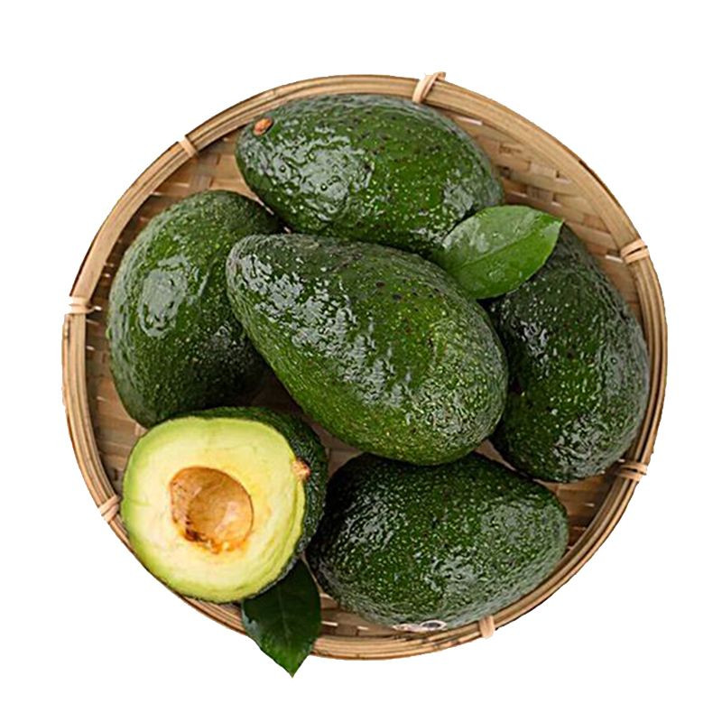 Avocado Hass Fresh Avocado From Mexico Green Tropical Style Color Weight Origin Wholesale Fresh Premium Avocado