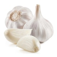 Hot Sale Price Fresh Organic Natural Garlic / New Crop Fresh Garlic bulk Supplier
