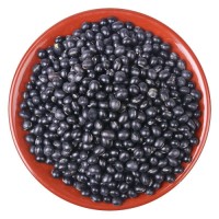 Wholesale Polished Black Beans 25 KG Black Soybean with Green Kernel for Sale