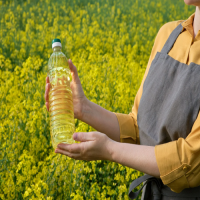 Premium Quality 100% Pure Organic Canola Oil for sale