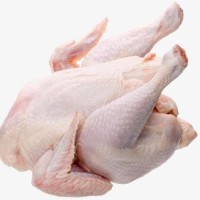 High Quality Healthy and Natural Whole Chicken Halal Frozen Whole Chicken Available for Sale at Low Price