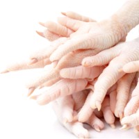Wholesale Halal Chicken Feet / Frozen Chicken Paws Brazil / Fresh Chicken Wings and Feet and Paws