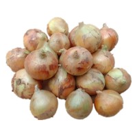 Lowest Price Fresh Red Onion/yellow Onion/white Onion for Sale