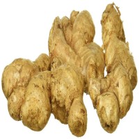Hot Selling Fresh Ginger and Garlic Wholesale Ginger Fresh Bulk Fresh Ginger