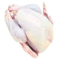 High Quality Healthy and Natural Whole Chicken Halal Frozen Whole Chicken Available for Sale at Low Price