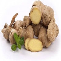 Hot Selling Fresh Ginger and Garlic Wholesale Ginger Fresh Bulk Fresh Ginger