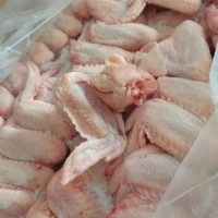 Processed Chicken Wings Grade 1, Halal Certified Chicken Wings, Joint Chicken Wings Fresh & Frozen Chicken Joint Wings