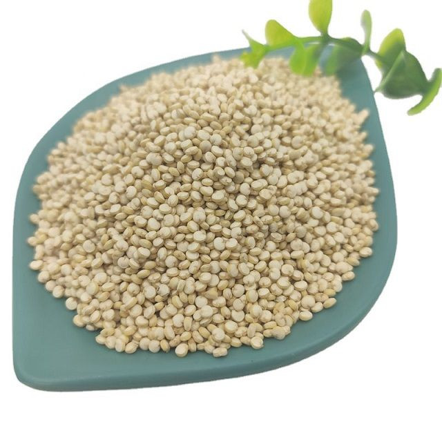 Wholesale Price Supplier of Organic Seeds White Quinoa Grains Health care Grains Bulk Stock With Fast Shipping