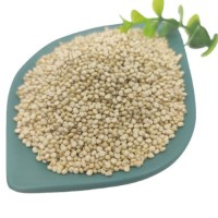 Wholesale Price Supplier of Organic Seeds White Quinoa Grains Health care Grains Bulk Stock With Fast Shipping