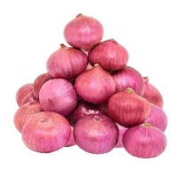 Best Quality Fresh Onion Price Ton on Fresh Red Onions for Sale by Onion Suppliers