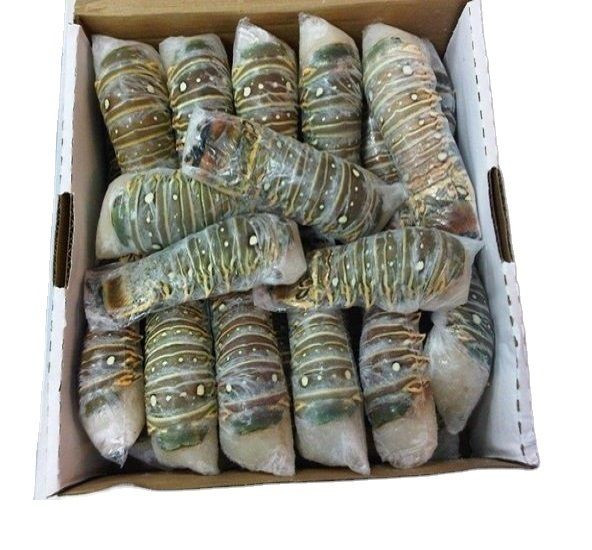 Fresh New Stock Seafood Fresh and Frozen Lobsters Best Wholesale Lobster Tails, Live Lobsters, Live Spiny Lobsters for