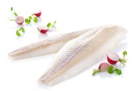 Premium Quality Frozen Cod Fillets Available Now In Stock Fresh Taste Guaranteed Perfect for Restaurants and Homes