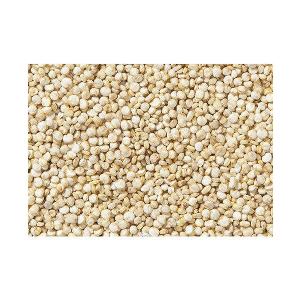 Wholesale Price Supplier of Organic Seeds White Quinoa Grains Health care Grains Bulk Stock With Fast Shipping