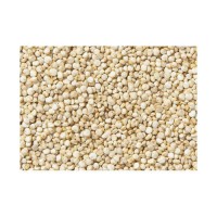 Wholesale Price Supplier of Organic Seeds White Quinoa Grains Health care Grains Bulk Stock With Fast Shipping